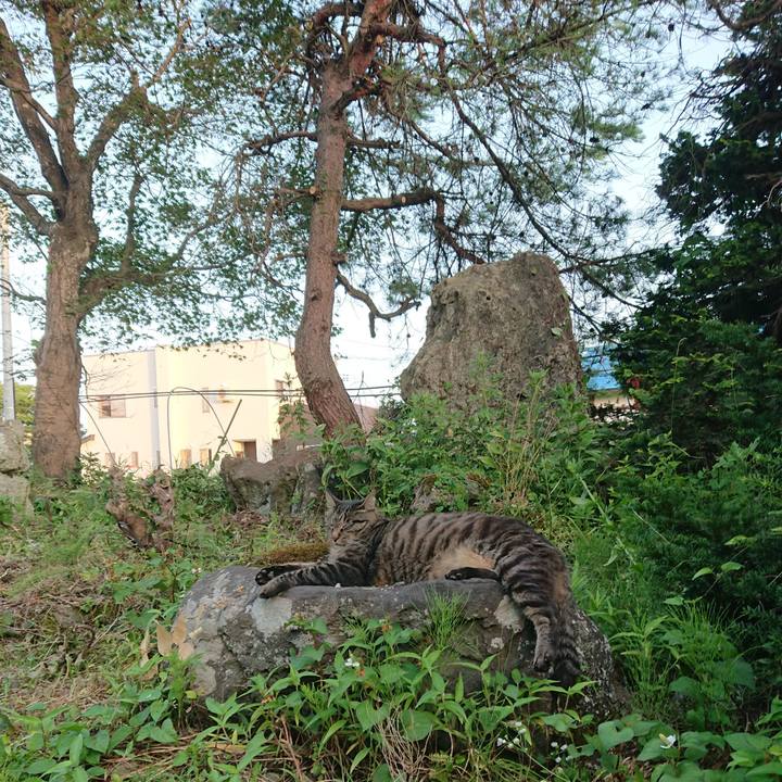 6610ec7a e50b 40e3 9588 01c881e13b67 1657445979821