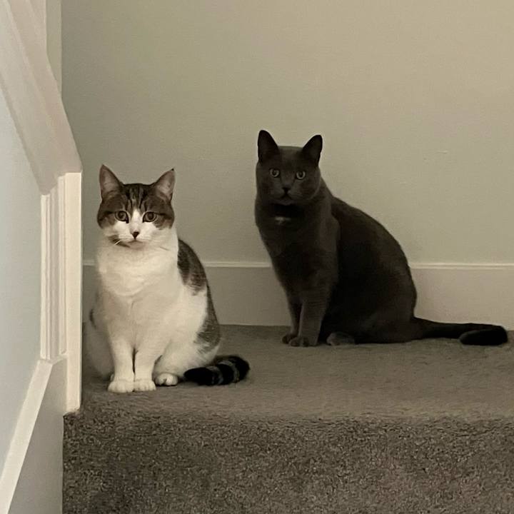 6610ff6e 9cc1 4e13 9938 944461533886 1705725764851