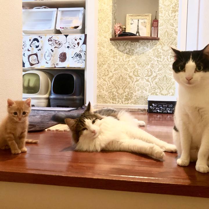 6611167d 6bdd 44cc 97d7 10129b363c44 1561265808597