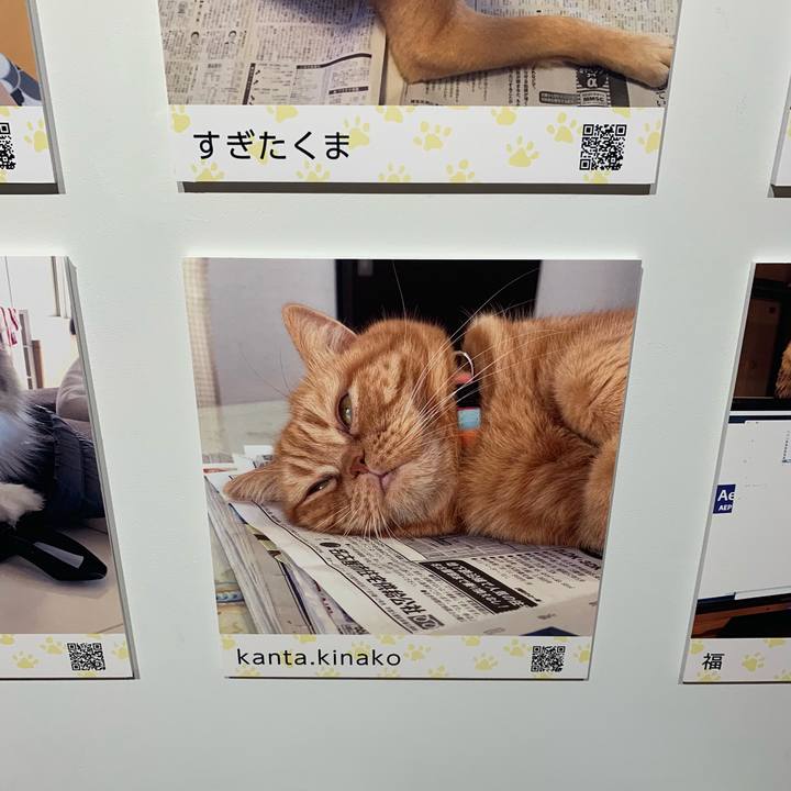 6611455a 6ed4 4ffb 86eb 876a3171279b 1592125271688