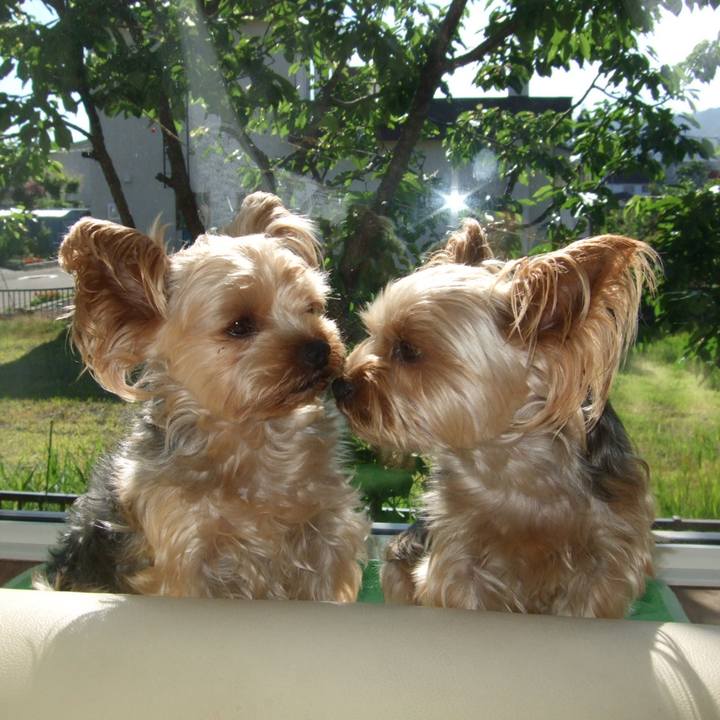 66114a61 9721 4b42 bcb2 929471b6a461 1718273035470