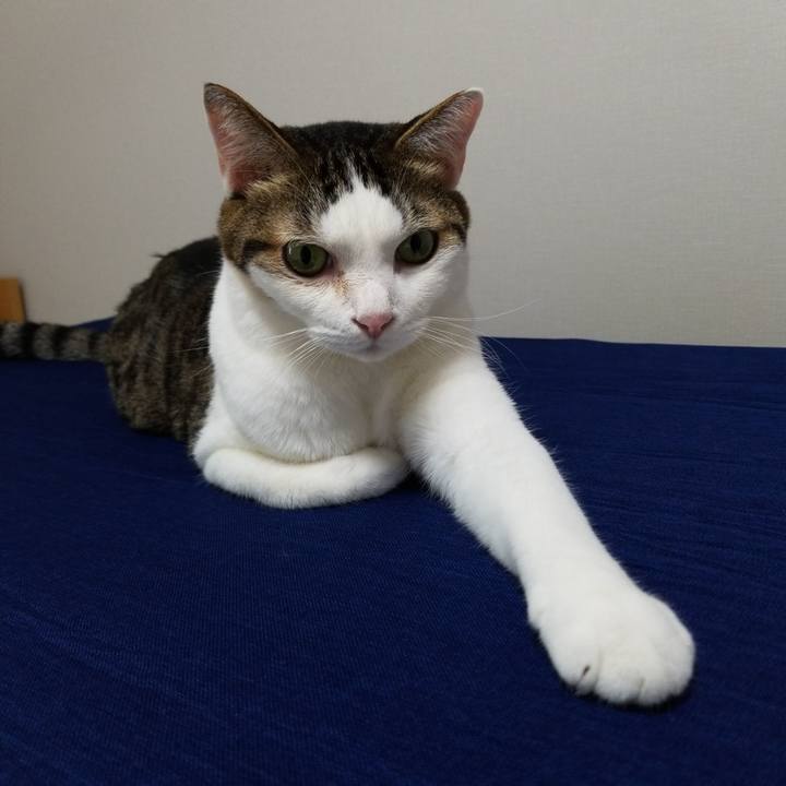 66114f49 4fc4 41dc a33f 95fc3219ab68 1569195854210