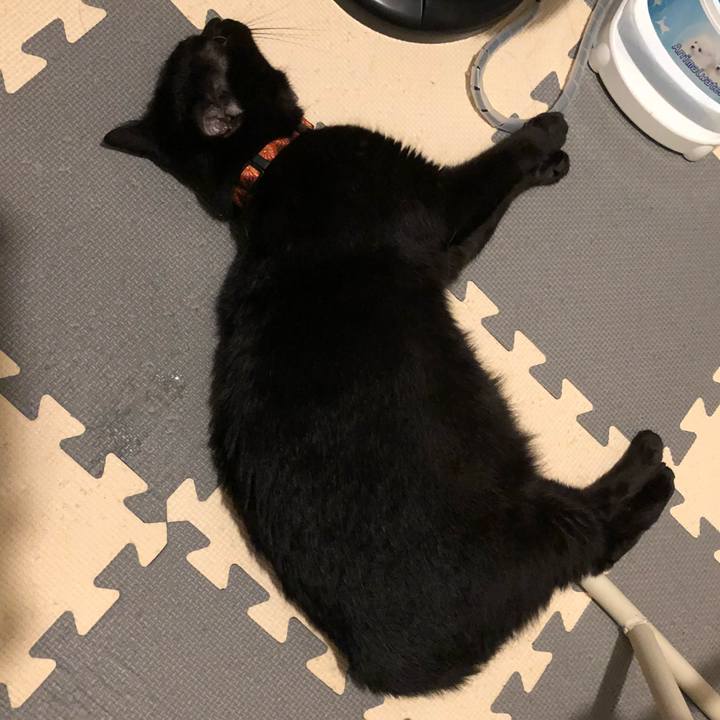 66115ef6 8ebf 4649 99d5 468c0dd45549 1566471844917