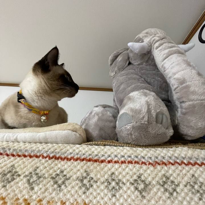 6611670e 4f72 4a8d b118 d4f6fe1ad96b 1724960930264