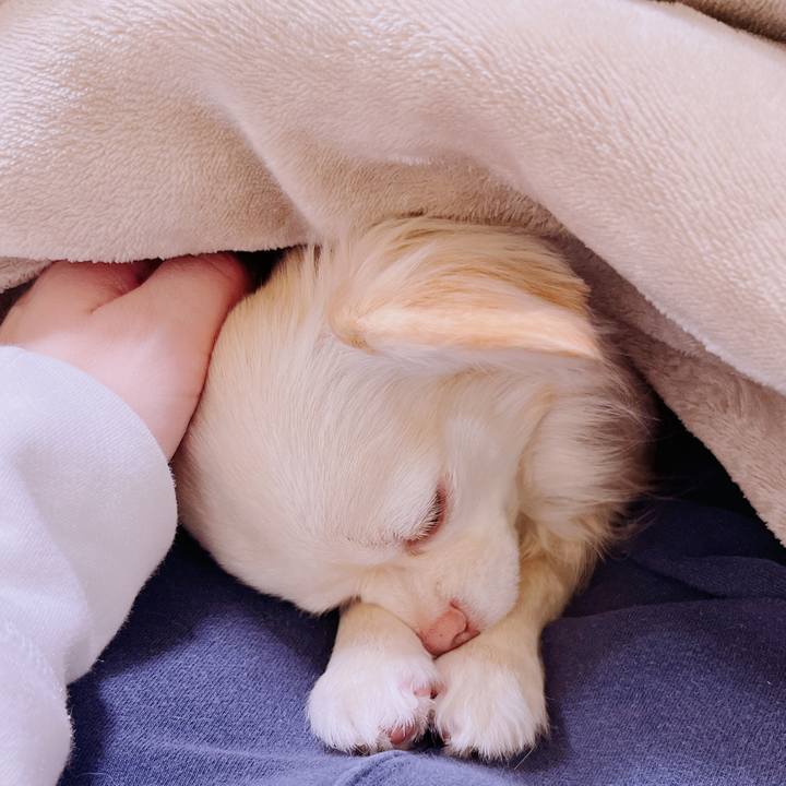 6611774f 50e3 4715 897e b711eae36e62 1678026304057