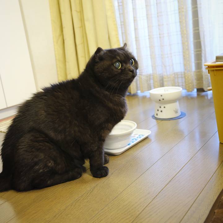 66119e0c f535 4dea 97bc feb3873d790b 1641806159321