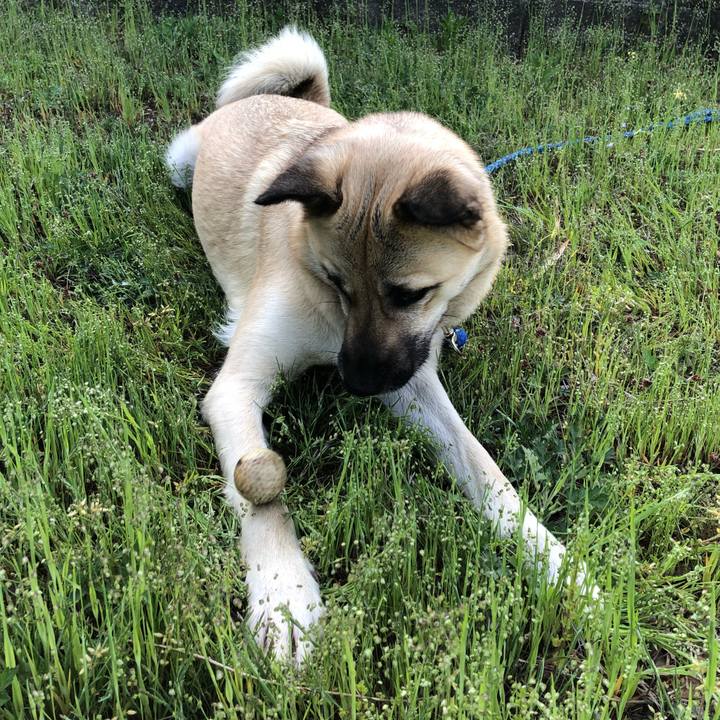 6611a9cc 558d 4d2d 8241 dbdf4b966766 1524312975274