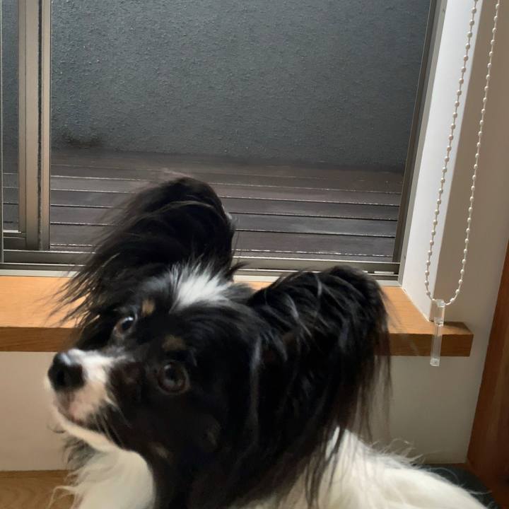 661225af fe54 40e7 b316 d7558290a7d5 1559075168995