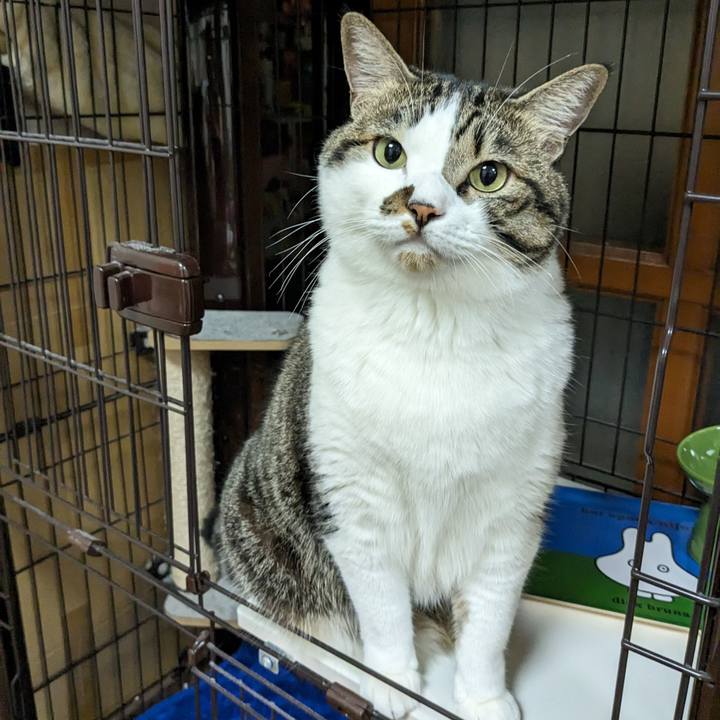 66128dd7 1c63 460d b146 9a2d8594ca5c 1693051772690