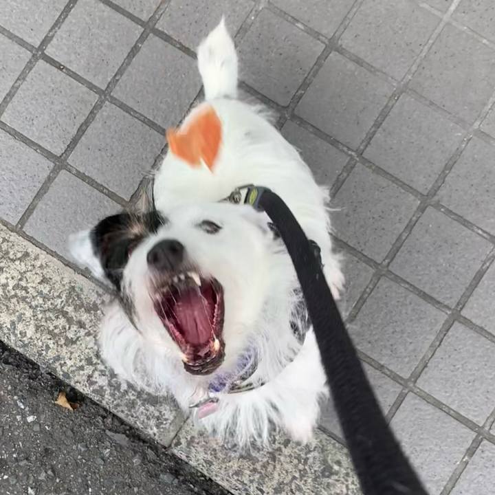 6612937c fb77 4367 9d10 c5b819796e65 1661158793772