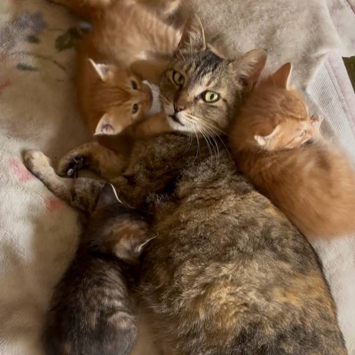 6612eef8 bbf3 4e58 8184 2bc73482ad8c 1763812830593