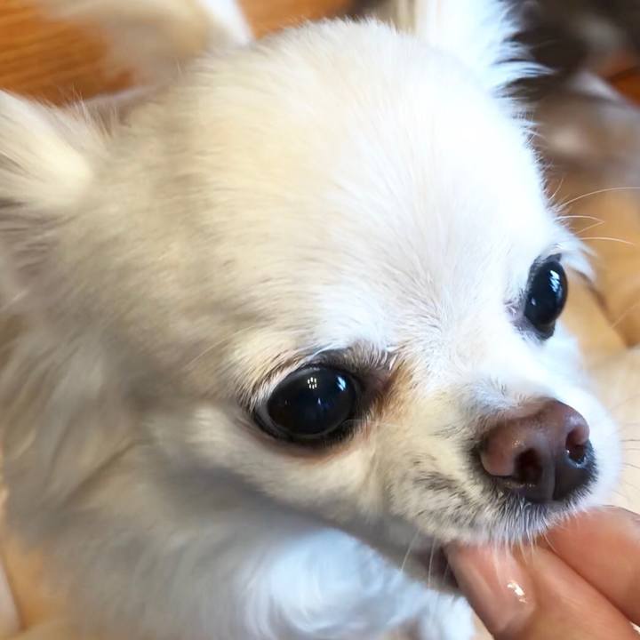 6612f1b5 c025 466c b1c5 c309f8a7054e 1532152209890