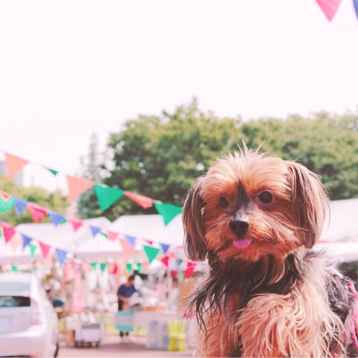 6612fbe6 7452 45fa 9c4d e9c09add6c8d 1528507511902