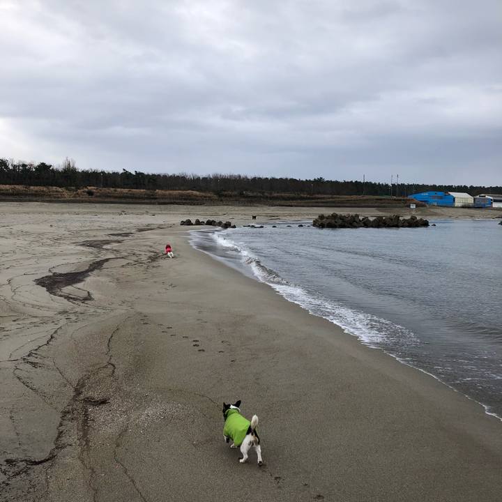 66131a7b ff94 4bd9 af4a 3c84ad0ce2d9 1547339675776