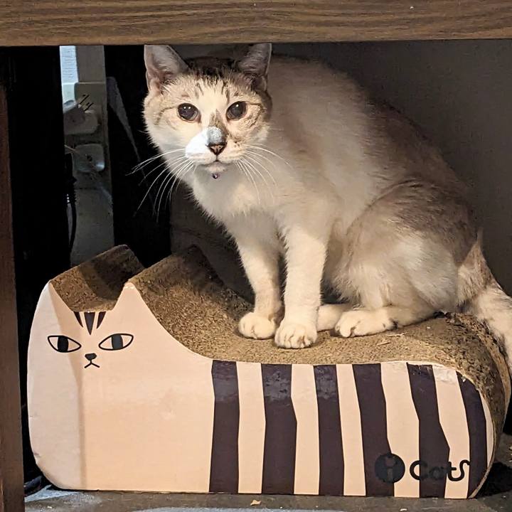 661358fd 7e8e 48ab 8db1 77889672b82c 1705663962453