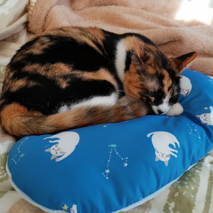 66136052 8d71 4676 947b 73faf5db0acb 1620358448516