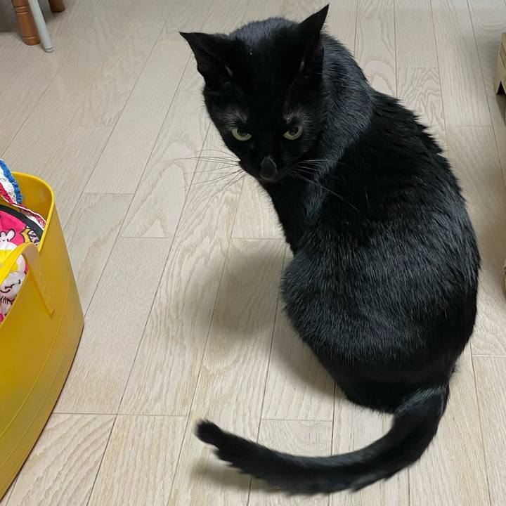 66136e5a c71e 4166 85de bb6df3f4ad96 1649166520027