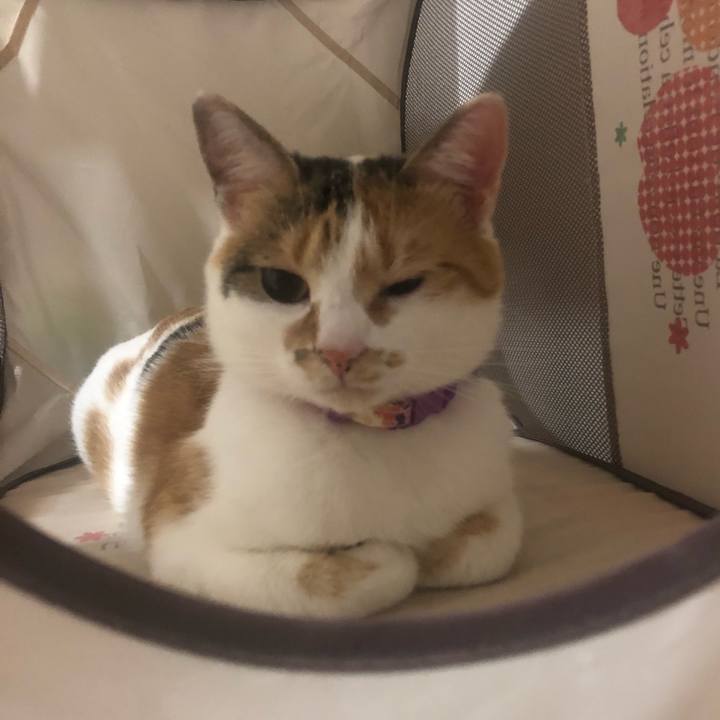 66139096 dd26 4951 a097 58ab2da92ce8 1600866013597