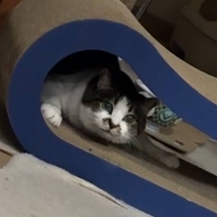 6613c180 a942 4380 a78c 12d66abe1173 1775354205369