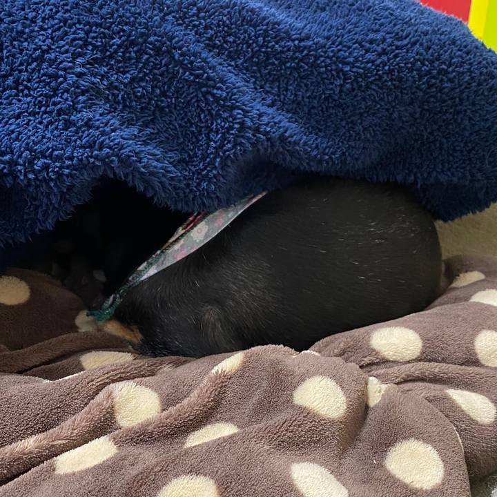 66140dd9 629f 4aff 862a ad2ccc1287b6 1583666373545