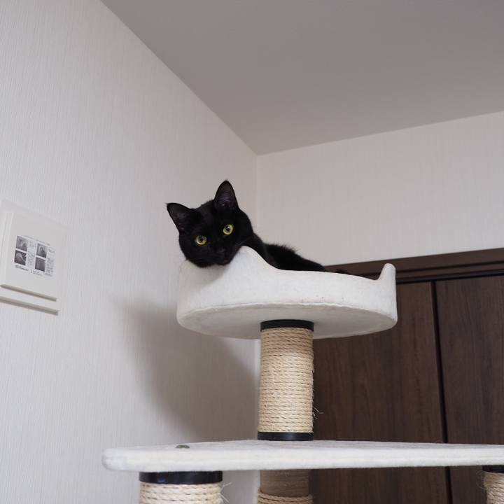 66143cb5 2da8 4f30 b7ec e86762d9688c 1548716387525