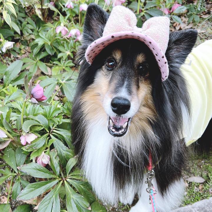 66144cc7 7840 4053 8442 3d20ecf68ab7 1647789380077