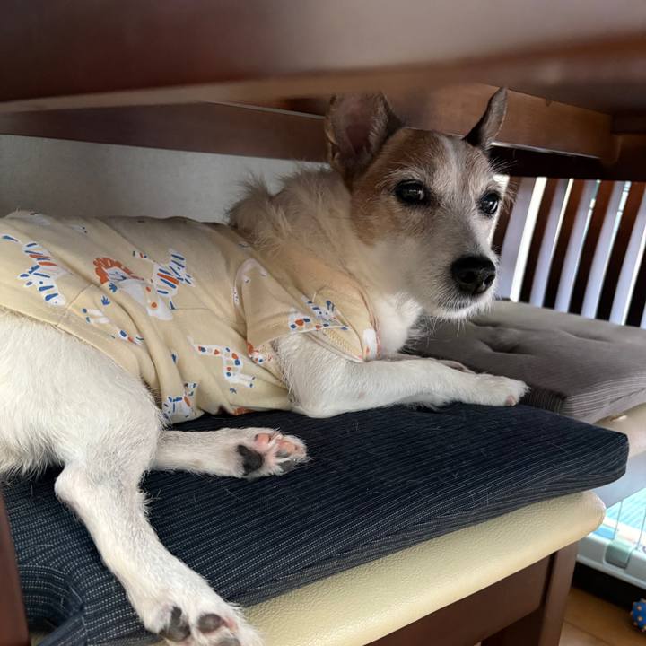 66146a28 ffd5 4485 8ce5 de89342dc4b6 1751675731156