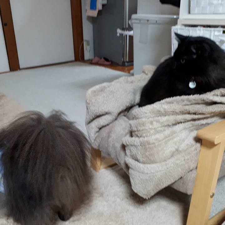 661478cb 229c 4ee5 99d3 958618c13746 1521323728567