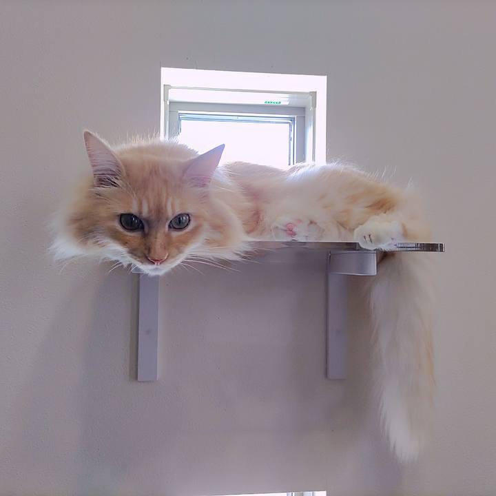 66147c5b 77c2 47d0 bee1 829d9c422c20 1724571322424