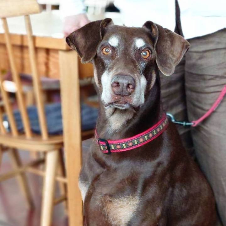 6614d34b 7629 473f a7da dfcf602f4eb1 1764124152134