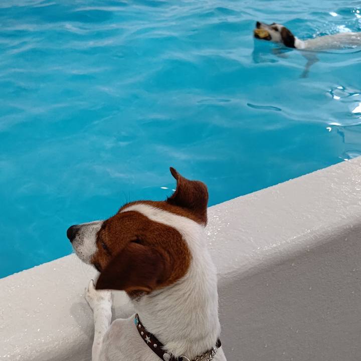 66152ea0 bcf8 4017 8a91 916dd3d6c19a 1640773424431