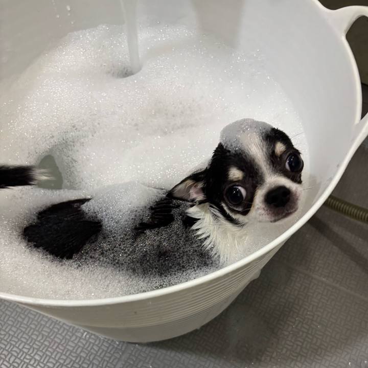 661544f2 cca0 4b31 abc0 549c58e20e5c 1761358473626