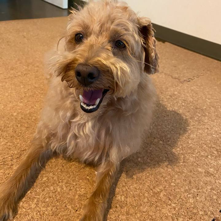 6615c6e0 bfe2 4c49 a4ff 54f0c7e66c5a 1628127675152