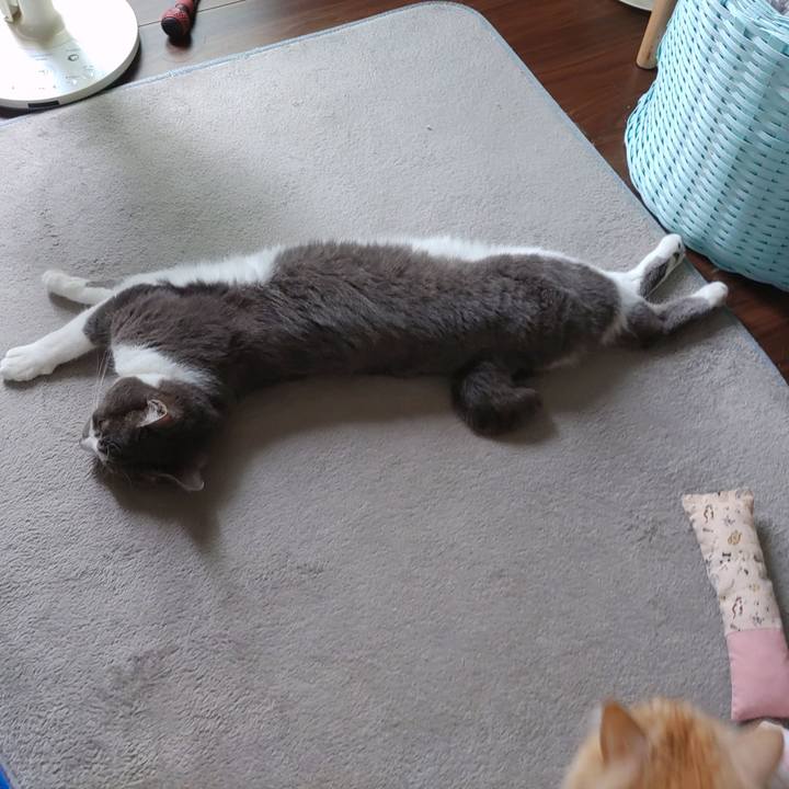 6615cfb4 4a23 4294 8992 5782df30d2a2 1715752917563