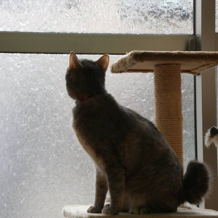 6615f36c 395c 46ee 8f39 4509e5177ef0 1555645351498