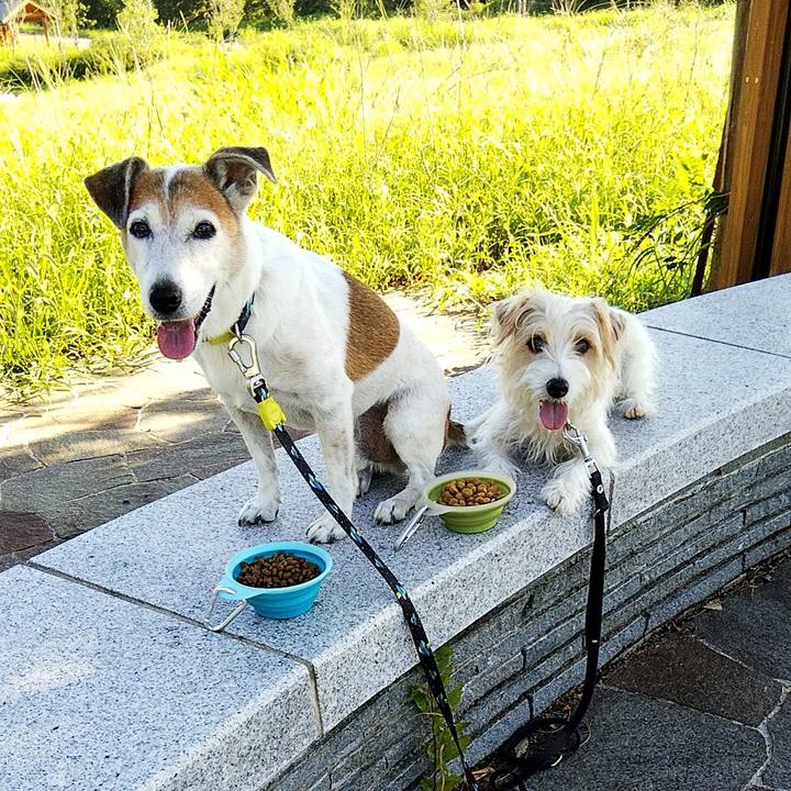 661608ce 43fd 4b90 91b1 78fcab7f1825 1568422081706