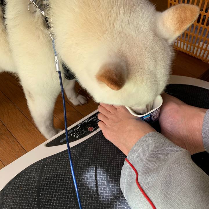 66162b87 78cb 4e52 b8bb ca61b297533e 1661901089193