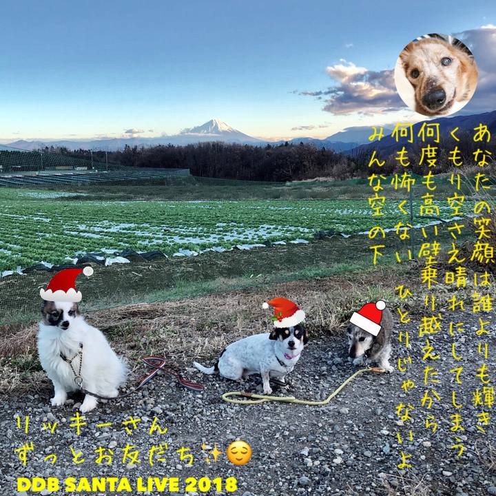 661648c3 a995 4695 b197 c7c32e48d40c 1545547898315