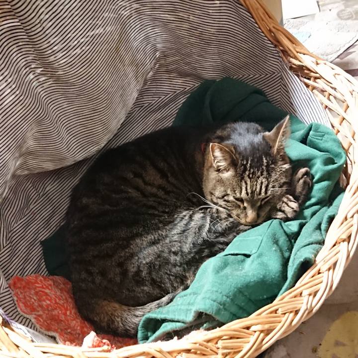 66165005 eaa1 44fd ab36 b1dd02d1955c 1642596077359