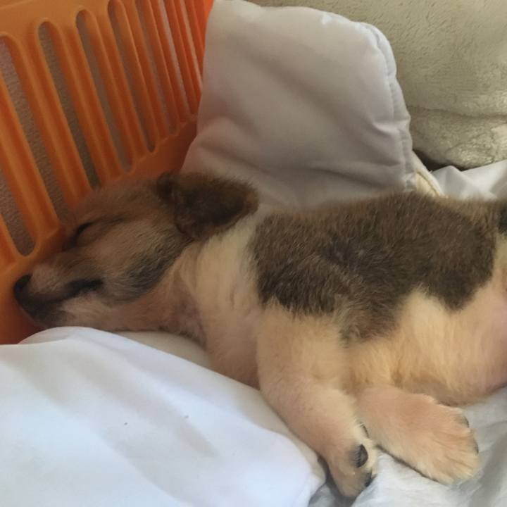 66165297 04f2 4f87 afac fa6ca4f302fd 1587813256656