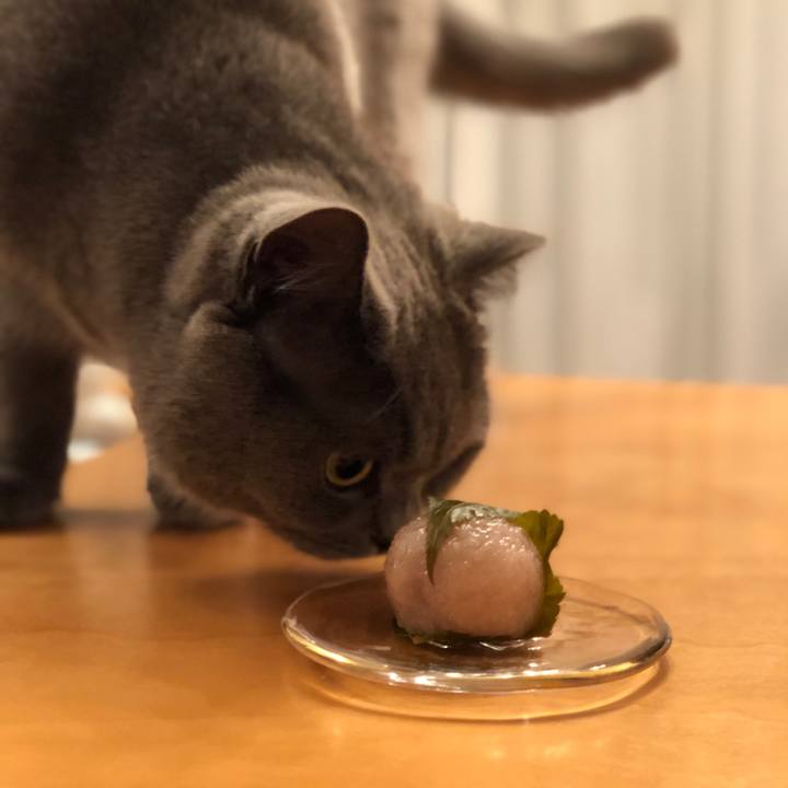 66167734 2fa8 4d3d 9df8 7733c4e73e11 1519995630496