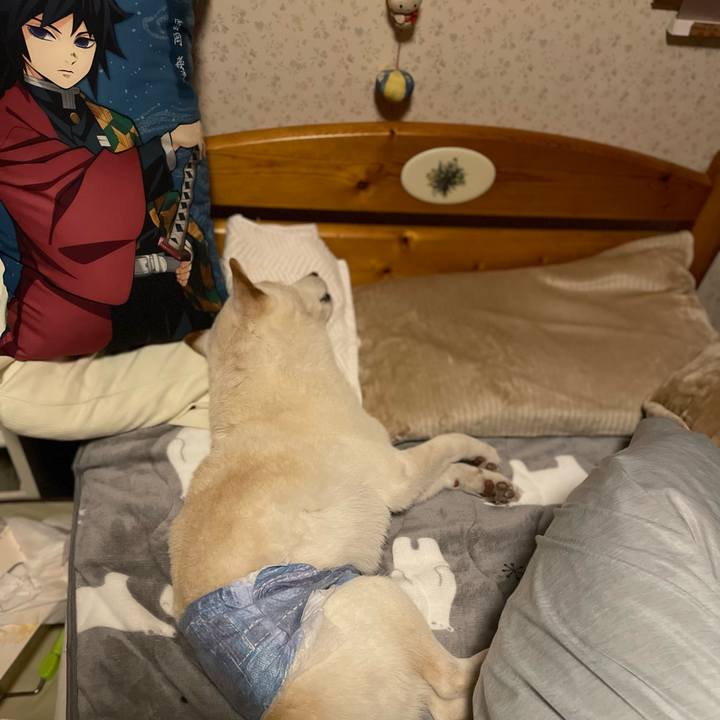 66169898 4b36 4297 becb f576c56dea5b 1646670111968