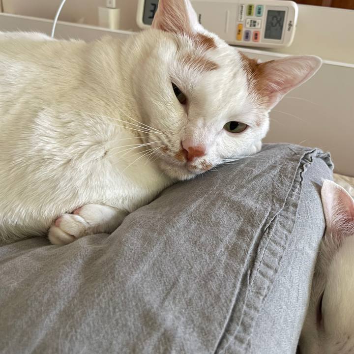 66169b3a 862d 4597 9b2a fceac4a46401 1647704992626