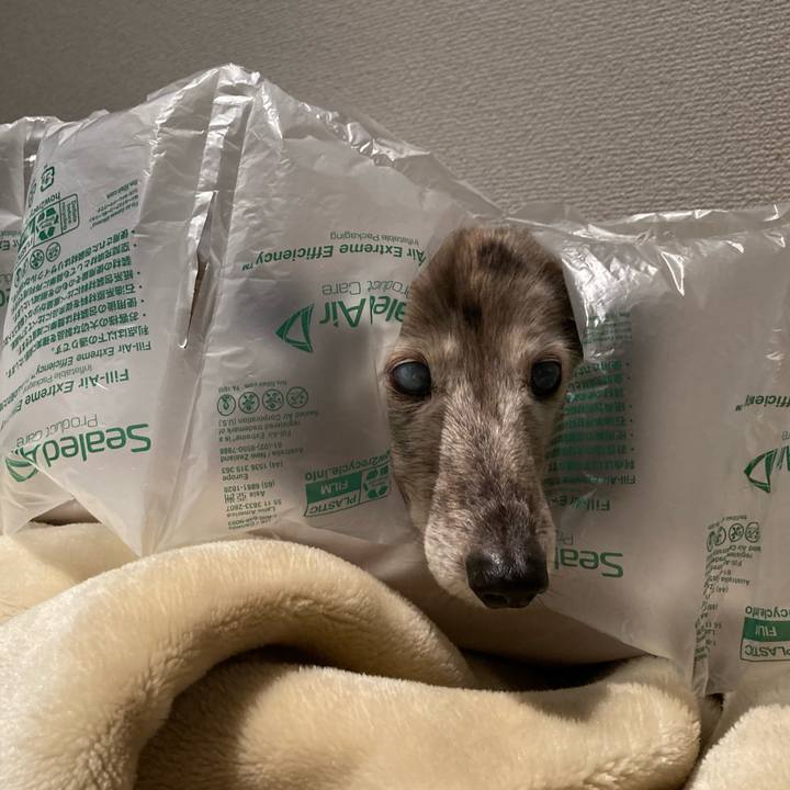 6616a1f0 1b36 42d4 aad1 a2fe61fc8507 1764301415177