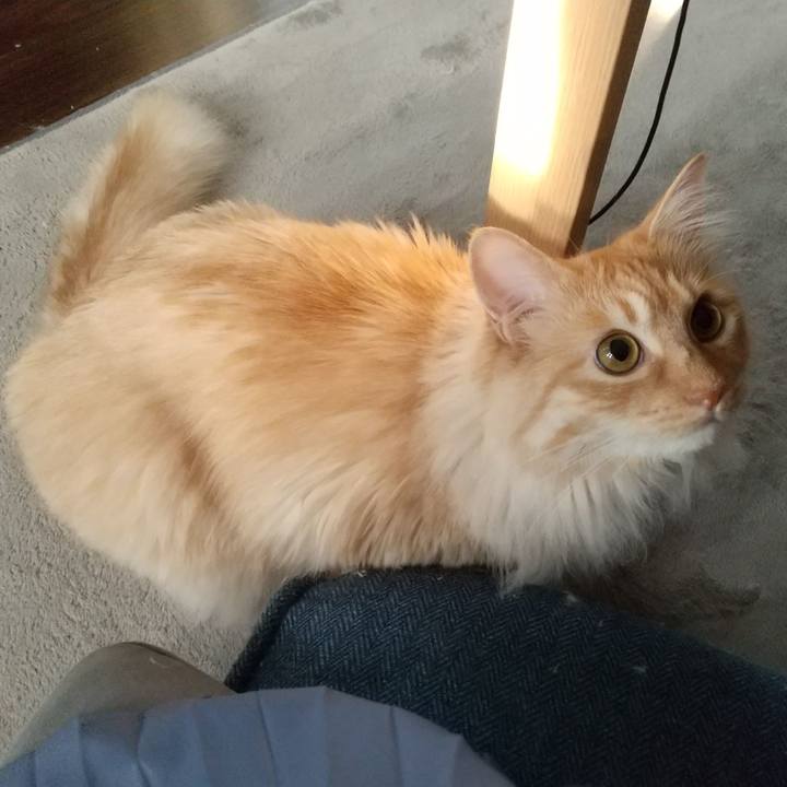 6616a9da 841c 4d3a abc0 196e40fd89a4 1652997336583