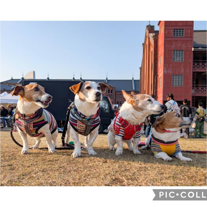 6616d816 7977 461c afe5 c23705a44f62 1774179845658