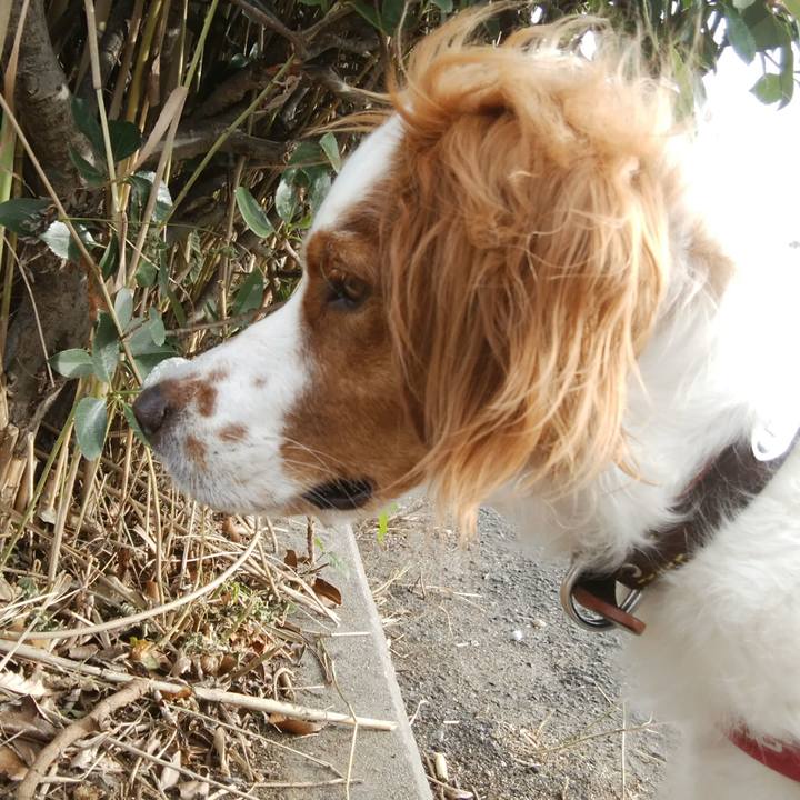 6616ec0a 8cb6 498a 8497 b3702626722e 1534073736281