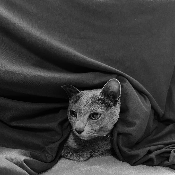 661715b1 a034 4f28 8d4a 5a896264725d 1613701301272