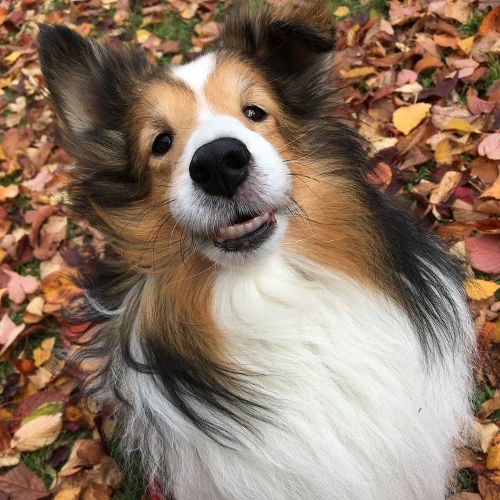 66171dd8 f2af 47ea 9ffc b8958c4fd6ba 1729164215592