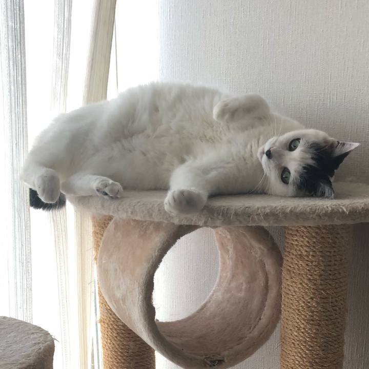 66171fc0 97a5 4d35 b642 a9bf06aaf2d5 1544843907536